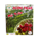 Mủ trôm cao cấp Phan Rang uống liền OCOP 3*** (10 gói/ hộp)